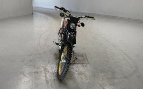 YAMAHA TRICKER DG10J