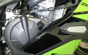 KAWASAKI ZX-4RR 2023 ZX400P