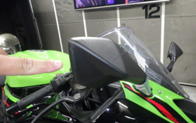 KAWASAKI NINJA ZX-6R A 2021 ZX636G