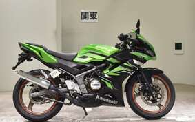 KAWASAKI NINJA150RR KR150P