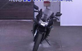 OTHER ﾆﾝｼﾞｬ 250R