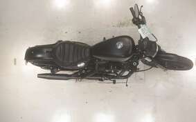 HARLEY XL883N 2021 LE2