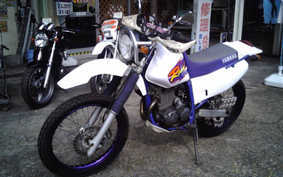 YAMAHA TT250R RAID 1994 4GY