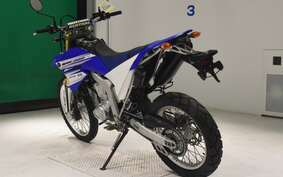 YAMAHA WR250R DG15J