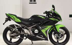 KAWASAKI NINJA150RR KR150P