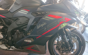 KAWASAKI NINJA ZX 25 R SE ZX250E