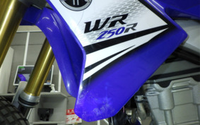 YAMAHA WR250R DG15J