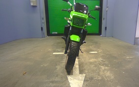 KAWASAKI ZRX1200 D 2017 ZRT20D