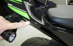 KAWASAKI NINJA ZX-6R A 2016 ZX636E