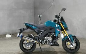 KAWASAKI Z125 PRO BR125H