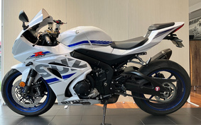 SUZUKI GSX-R1000 ABS 2018 DM11A