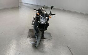 YAMAHA FZ FAZER 2010 RN21J