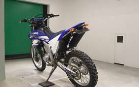 YAMAHA WR250R DG15J