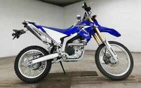 YAMAHA WR250R DG15J