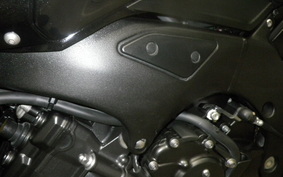 YAMAHA FZ FAZER 2010 RN21J