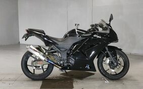 KAWASAKI NINJA 250R EX250K