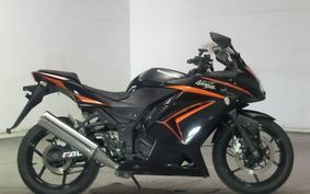 KAWASAKI NINJA 250R 2009 EX250K