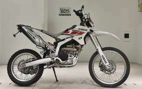 YAMAHA WR250R DG15J