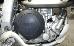 YAMAHA WR250R DG15J