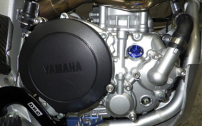 YAMAHA WR250R DG15J