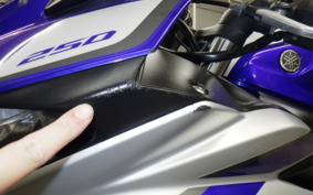 YAMAHA YZF-R25 RG10J