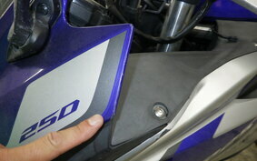 YAMAHA YZF-R25 RG10J