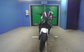 TRIUMPH SPEED TRIPLE 2010 E5865R