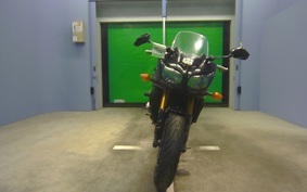 YAMAHA FZ FAZER 2009 RN17