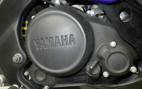 YAMAHA YZF-R15 1CK0