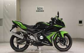 KAWASAKI NINJA150RR KR150P