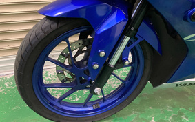 YAMAHA YZF-R15 RG47