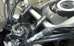 SUZUKI DL650 ( V-Strom 650 ) 2021 C733A