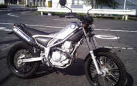 YAMAHA TRICKER DG10J