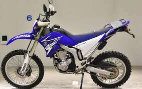 YAMAHA WR250R DG15J