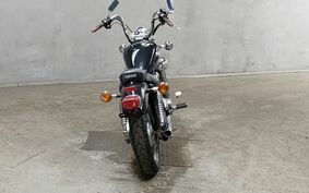 YAMAHA VIRAGO 250 3DM