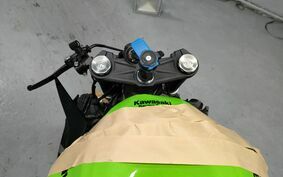 KAWASAKI NINJA ZX-6R 2019 ZX636G