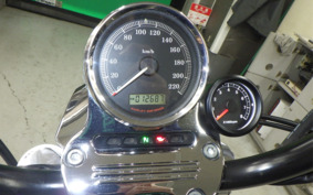 HARLEY L1200LI 2010