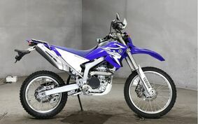 YAMAHA WR250R DG15J