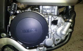 YAMAHA WR250X DG15J