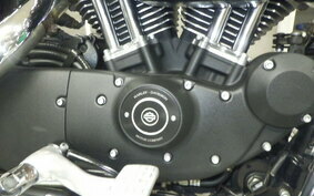 HARLEY XL1200RI 2009 CV3