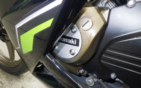 KAWASAKI NINJA150RR