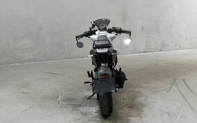 HUSQVARNA ヴィットピレン401 2022 JUJ