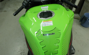 KAWASAKI NINJA ZX-6R A 2021 ZX636G