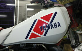 YAMAHA TY250 53Y