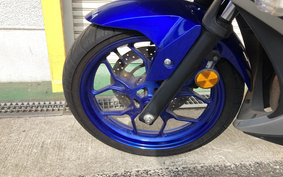 YAMAHA YZF-R25 RG10J