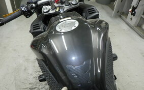 YAMAHA FZ FAZER 2009 RN21J