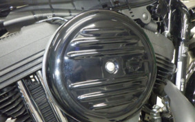 HARLEY XL1200NS 2021