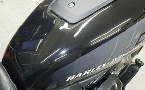 HARLEY RH975 2024