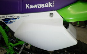 KAWASAKI KLX250 Gen.2 LX250S