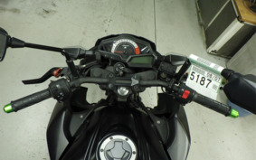 KAWASAKI Z250 ER250C